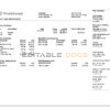USA IT technologies company earning statement template in Word and PDF format