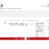 USA JLL real estate company pay stub Word and PDF template