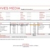 USA Jives Media advertising company pay stub Word and PDF template