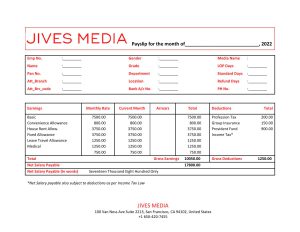 USA Editable Templates 15 USA Jives Media advertising company pay stub Word and PDF template