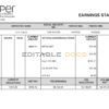 USA Juniper networking company pay stub Word and PDF template
