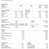 USA Kellog food processing company pay stub Word and PDF template