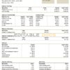 USA Kering luxury goods company pay stub Word and PDF template