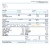 USA Maesk shipping company pay stub Word and PDF template