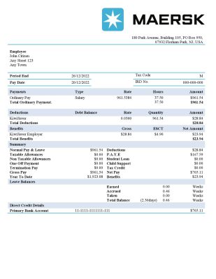 USA Maesk shipping company pay stub Word and PDF template