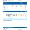 USA Marathon Petroleum company pay stub Word and PDF template