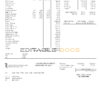 USA Maryland University of Maryland Medical Center pay stub Word and PDF template