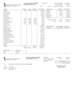 USA Maryland University of Maryland Medical Center pay stub Word and PDF template