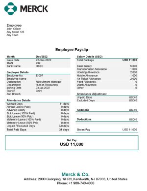USA Editable Templates 3 USA Merck & Co. pharmaceutical company pay stub Word and PDF template