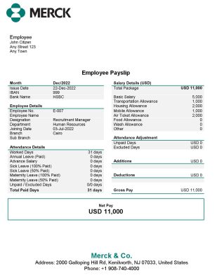 USA Merck & Co. pharmaceutical company pay stub Word and PDF template