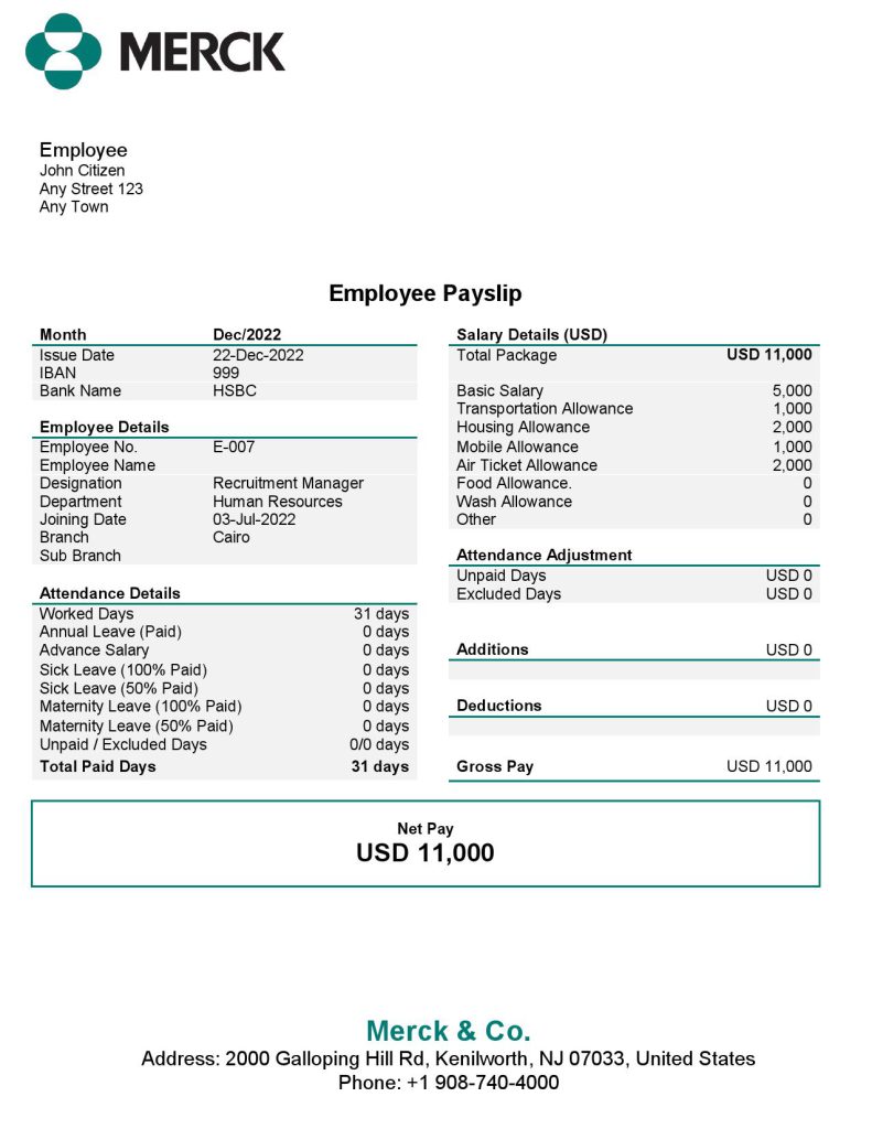USA Merck & Co. pharmaceutical company pay stub Word and PDF template