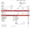 USA NIPPON YUSEN KAISHA shipping company pay stub Word and PDF template