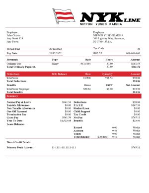 USA Editable Templates 6 USA NIPPON YUSEN KAISHA shipping company pay stub Word and PDF template