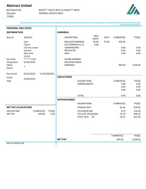 USA Editable Templates 4 USA New York Abstract United pay stub Word and PDF template