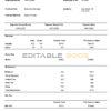 USA Neiman Marcus department store company pay stub Word and PDF template