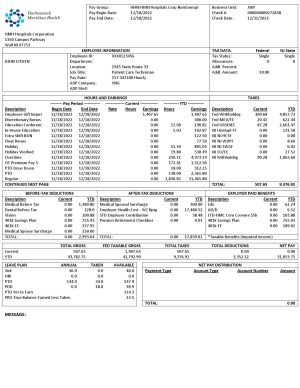 USA Editable Templates 9 USA New Jersey Hackensack Meridian Health earnings statement Word and PDF template