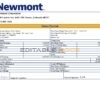 USA Newmont Corporation mining company pay stub Word and PDF template