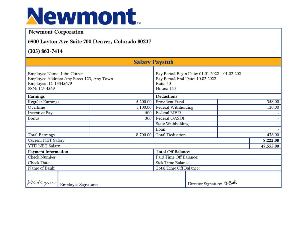 USA Newmont Corporation mining company pay stub Word and PDF template