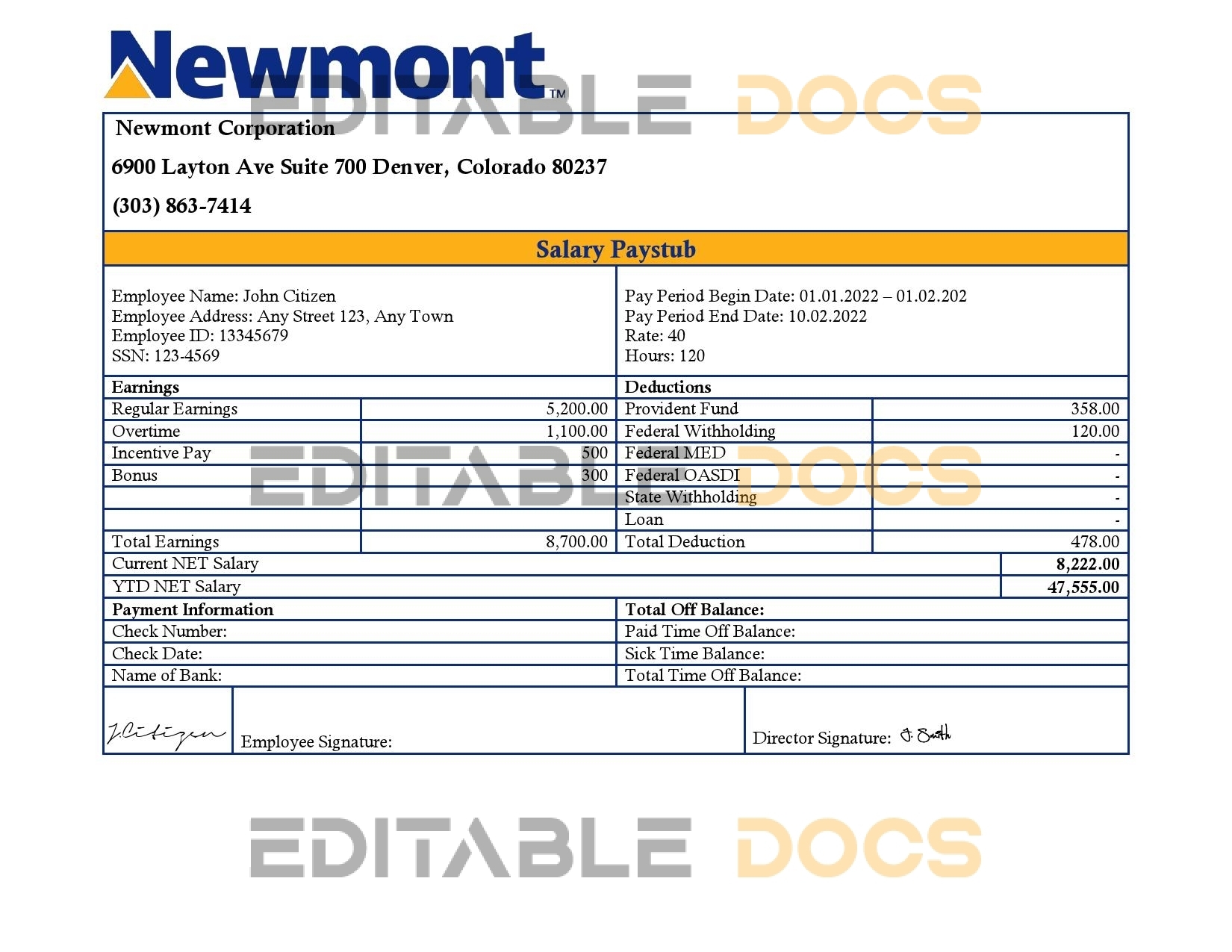 USA Newmont Corporation mining company pay stub Word and PDF template
