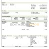 USA NextEra Energy electric company pay stub Word and PDF template