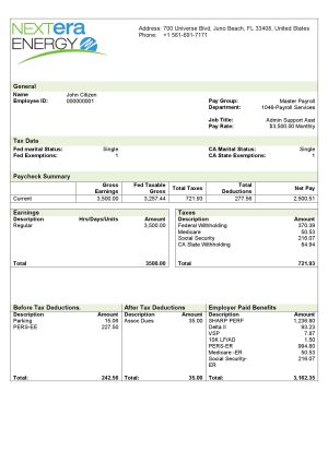 USA Editable Templates 5 USA NextEra Energy electric company pay stub Word and PDF template