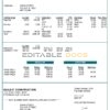 USA Omega Tours tourism company pay stub Word and PDF template