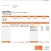 USA PSEG utilities company pay stub Word and PDF template