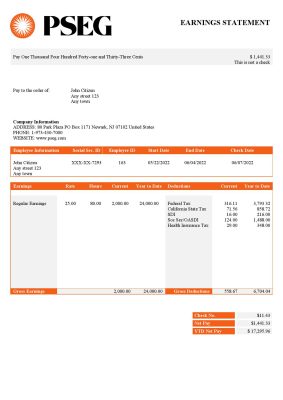 USA PSEG utilities company pay stub Word and PDF template