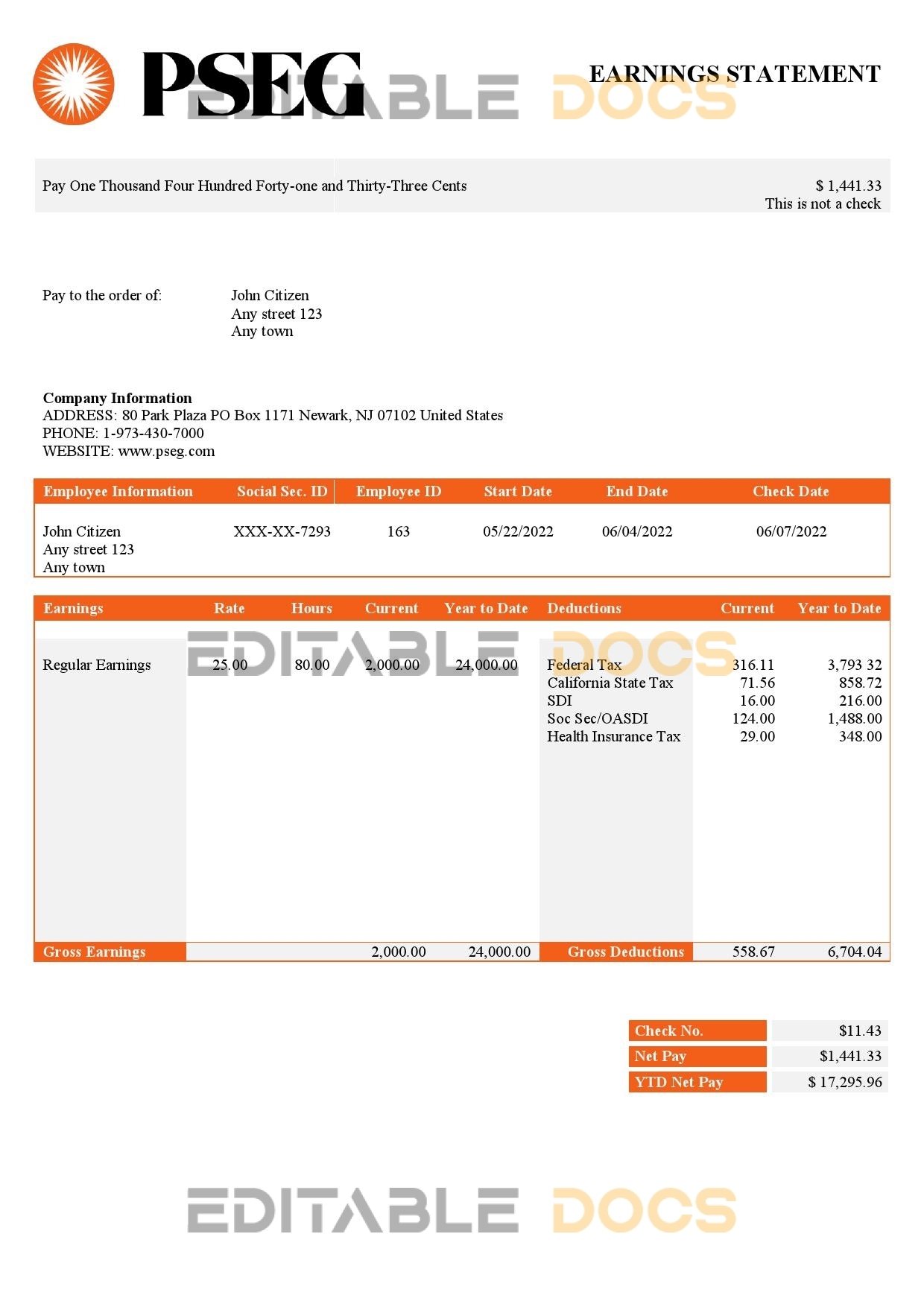USA PSEG utilities company pay stub Word and PDF template