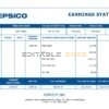 USA Pepsico Inc. drink producing company pay stub Word and PDF template