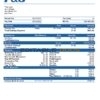 USA Procter & Gamble consumer products company pay stub Word and PDF template
