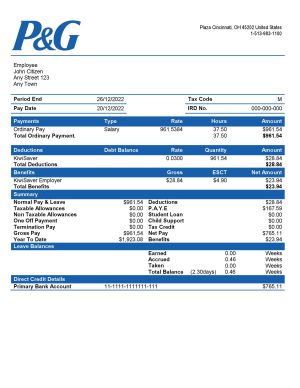 USA Editable Templates 9 USA Procter & Gamble consumer products company pay stub Word and PDF template
