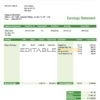 USA Publix Super Markets Inc. supermarket company pay stub Word and PDF template