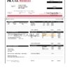 USA Reed Smith LLP law company pay stub Word and PDF template