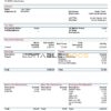 USA Republic Services waste management company pay stub Word and PDF template