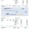 USA Service Corp. International consumer discretionary company pay stub Word and PDF template