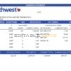 USA Southwest Airlines airlines company pay stub Word and PDF template