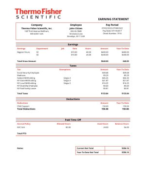 USA Editable Templates 14 USA Thermo Fisher Scientific laboratory instruments company pay stub Word and PDF template