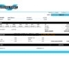 USA Turning Point Brands tobacco company pay stub Word and PDF template