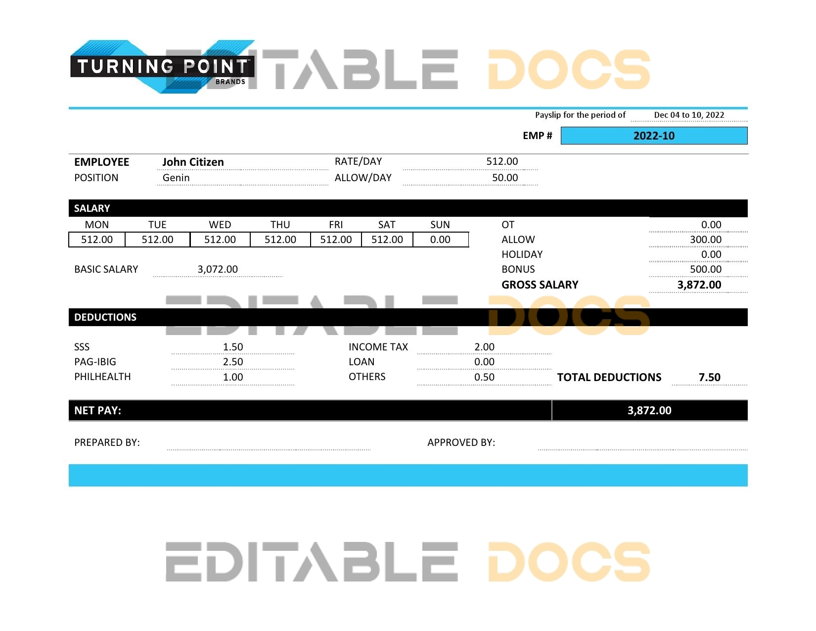 USA Turning Point Brands tobacco company pay stub Word and PDF template