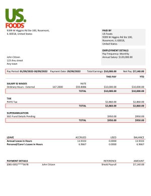 USA Editable Templates 2 USA US Foods food distribution company pay stub Word and PDF template
