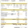 USA Whirlpool Corporation commercial company pay stub Word and PDF template