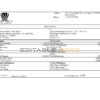 USA Wynn Resorts hospitality company pay stub Word and PDF template