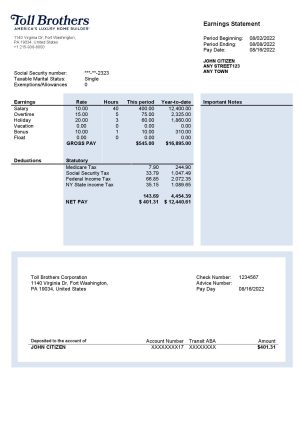 USA building company earning statement template in Word and PDF format