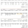 USA chemical industry earning statement template in Word and PDF format