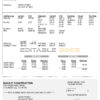 USA Ohio construction company earnings statement template in Word and PDF format
