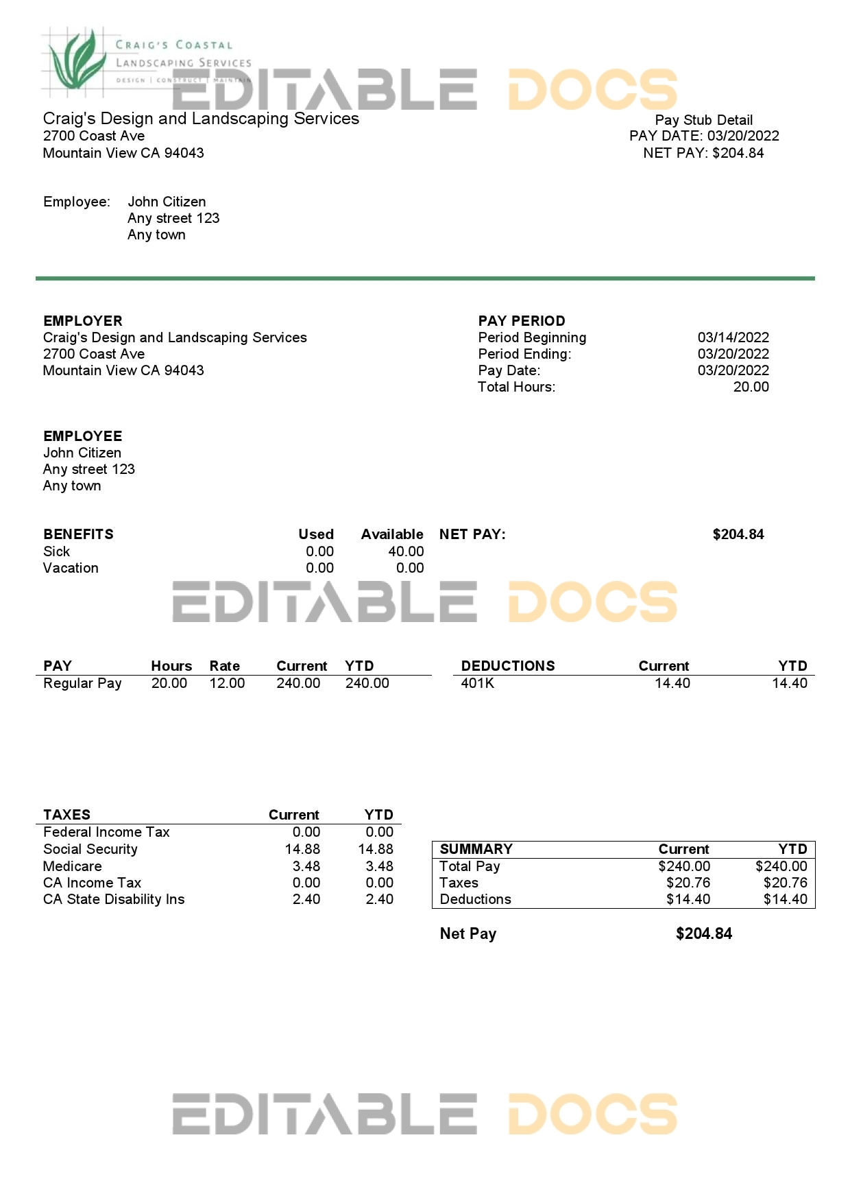 USA California design & landscaping services company pay stub template in Word and PDF format