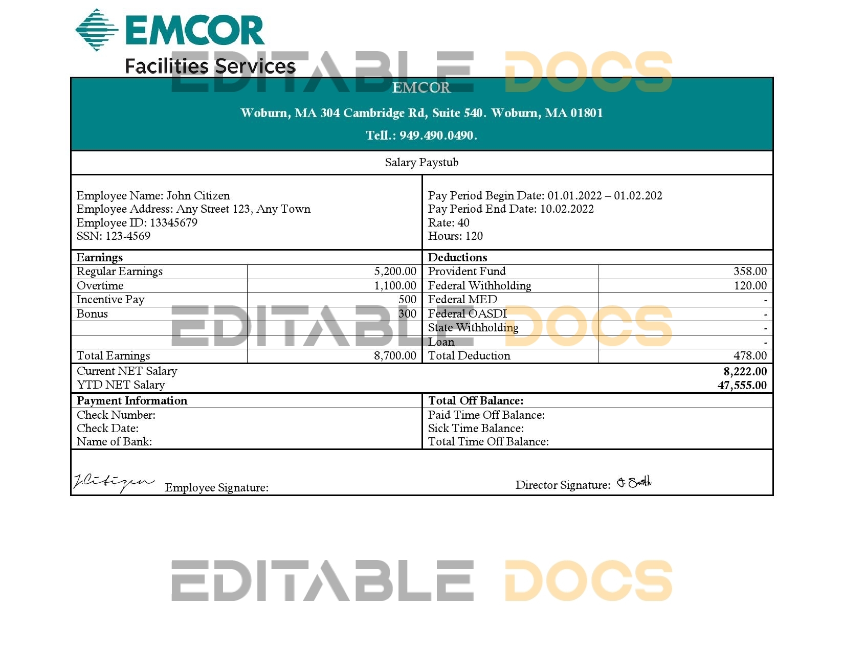 USA engineering company employee earning statement template in Word and PDF format