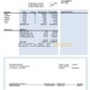 USA financial company earning statement template in Word and PDF format, version 2