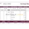 USA insurance company earning statement template in Word and PDF format